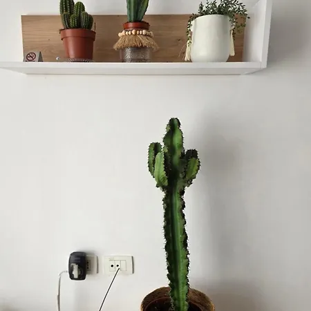 Magnet Self Check-in Appartamento