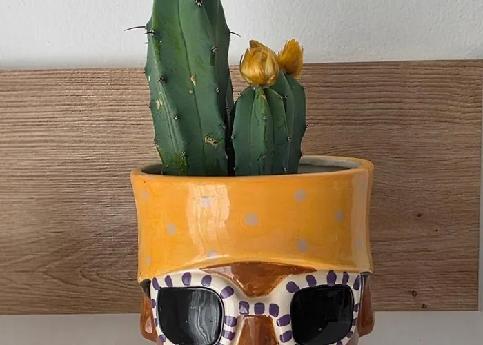 Appartamento Magnet Self Check-in