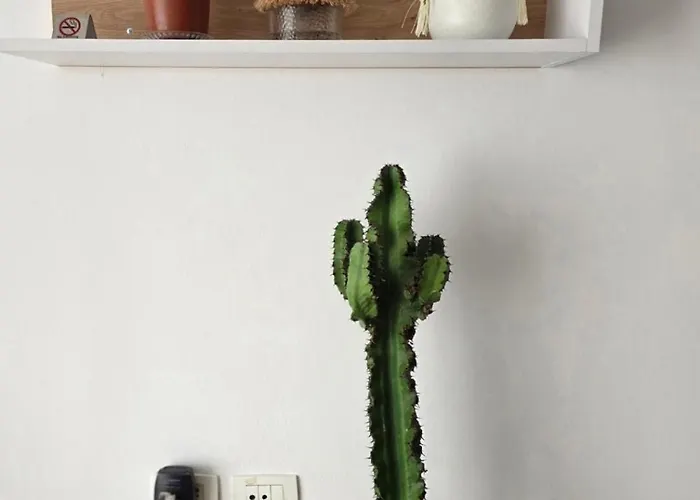 Magnet Self Check-in Appartamento